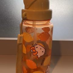 Bouteille, a été signalé par Arriva Limburg Noord utilisant iLost