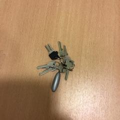 Nøkler, som rapportert av Qbuzz U-OV ved bruk av iLost