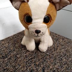 Knuffel Hond, som rapportert av DierenPark Amersfoort ved bruk av iLost