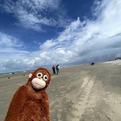 Aapje, som rapporterats till iLost