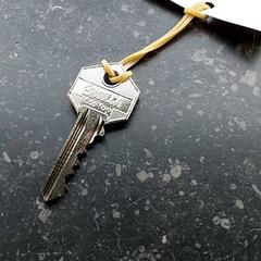 Nøkkel, som rapportert av Centraal magazijn ved bruk av iLost