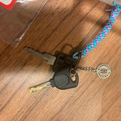 Fietssleutels がiLostで Pathé Haarlem によって報告されました