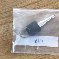 Clau, segons ha informat Gemeente Alkmaar mitjançant iLost