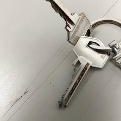 Nøkler, som rapportert av Centraal magazijn ved bruk av iLost