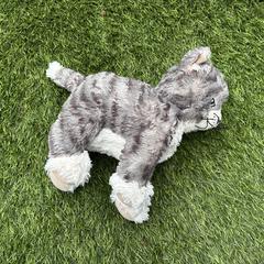 Knuffel van poes, jak bylo nahlášeno na iLost