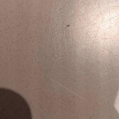 Eskumuturra, gisa salatu by De Efteling iLost erabiliz