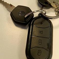 Claus, segons ha informat Syntus Provincie Utrecht mitjançant iLost