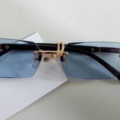 Bril blauw, zoals gemeld door Centraal magazijn met iLost