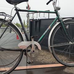 Bici da uomo Groen zwart Eurovelo, come riportato da Fietsdepot Diepenbeek utilizzando iLost