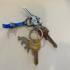 سلسلة المفاتيح، كما تم الإبلاغ عنه بواسطة Gemeente Noordwijk عبر iLost