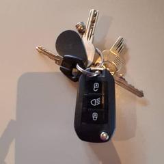 Chave Auto, como reportado por Familiepark Drievliet utilizando o iLost