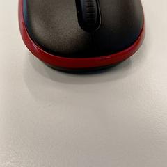 Ratolí, segons ha informat Heidelberglaan 15 mitjançant iLost