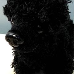 おもちゃ がiLostで IKEA Gent によって報告されました