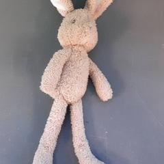 Peluche, come riportato da Diergaarde Blijdorp utilizzando iLost