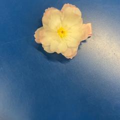 Ile-pin, gisa salatu by IKEA福岡新宮 iLost erabiliz