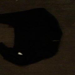 Trui Outfitters nation, zoals gemeld door De Heeren van Aemstel met iLost