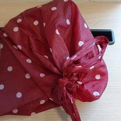 Bag, as reported by Regio Limburg - Leuven using iLost