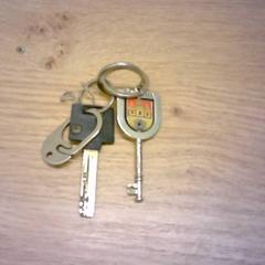 鍵 2 stuks がiLostで Bobbejaanland によって報告されました