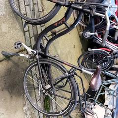 Damcykel Sparta, rapporterat av Stadswerk072 med iLost