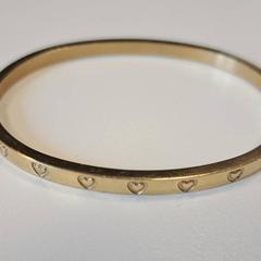 Náramek, jak nahlášeno Breda University of Applied Sciences Mgr. Hopmansstraat pomocí iLost