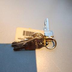 열쇠, iLost를 사용하여 Madurodam에 보고됨