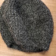 Beanie, amint azt Connexxion Noord Holland Noord Hoorn az iLost segítségével jelentette.