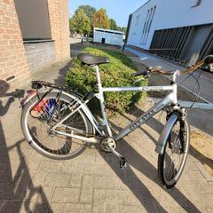 Herenfiets City star, gemeldet von Gemeente Zonhoven über iLost