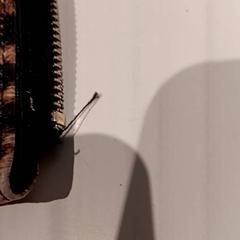 Pénztárca, amint azt De Efteling az iLost segítségével jelentette.