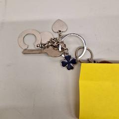 Nyckelring, rapporterat av Transdev Gooi en Vechtstreek med iLost