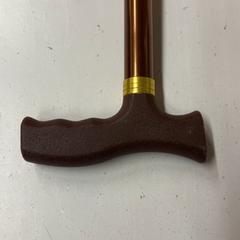 Gehstock, gemeldet von HTM über iLost