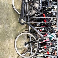 Bicicleta de mujer Batavus, ha sido reportado por Stadswerk072 con iLost
