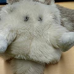 Různé - Knuffelbeer, jak nahlášeno Regio Limburg - Leuven pomocí iLost