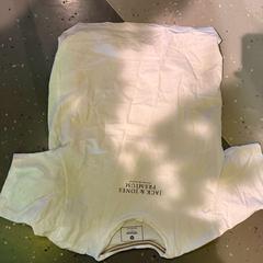 Camisa, segons ha informat Room Mate Bruno mitjançant iLost