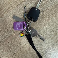 Sleutelbos, jak bylo nahlášeno na iLost