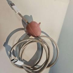 كابل الشحن، كما تم الإبلاغ عنه بواسطة AFAS Live عبر iLost