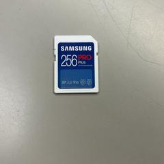 Memory card, as reported by Burgers' Zoo using iLost
