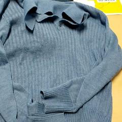 Oblečení - Trui, jak nahlášeno Regio Limburg - Leuven pomocí iLost