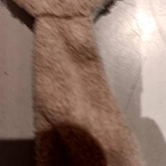 Kuschelige ohrfeige, gemeldet von De Efteling über iLost