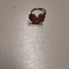 Ringe, som rapportert av Connexxion Haarlem IJmond ved bruk av iLost