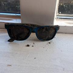 Zonnebril, iLost를 사용하여 DierenPark Amersfoort에 보고됨