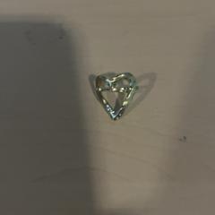 Ring goudkleurige, gemeldet von Jaarbeurs über iLost