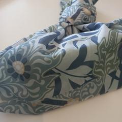 Bolsa, segundo informou Arriva Limburg Zuid usando iLost