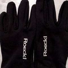 Rukavice Zwart, jak nahlášeno Arriva Friesland / Groningen pomocí iLost