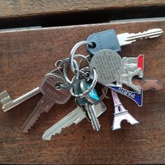 Sleutelbos, segons s'ha informat a iLost