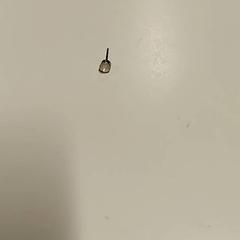 Fülbevaló, amint azt Vrije Universiteit Brussel (VUB) az iLost segítségével jelentette.