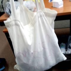 Bag, as reported by Regio Limburg - Leuven using iLost