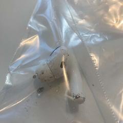 에어팟, iLost를 사용하여 Gemeente Baarn에 보고됨