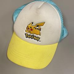 Pet Pokemon, zoals gemeld door Pathé Schiedam met iLost