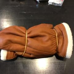 Gants, a été signalé par U-OV Utrecht utilisant iLost