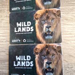 تصريح الدخول Gruijs، كما تم الإبلاغ عنه بواسطة RRReis IJssel-Vecht Lelystad عبر iLost